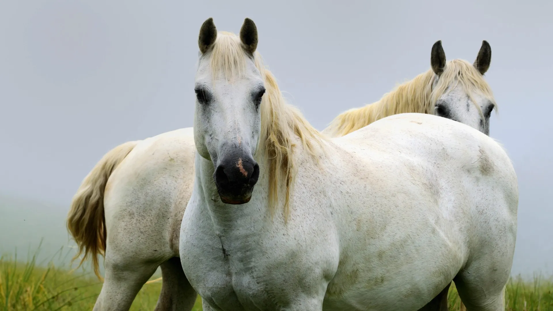 Vie rurale et paysages authentiques