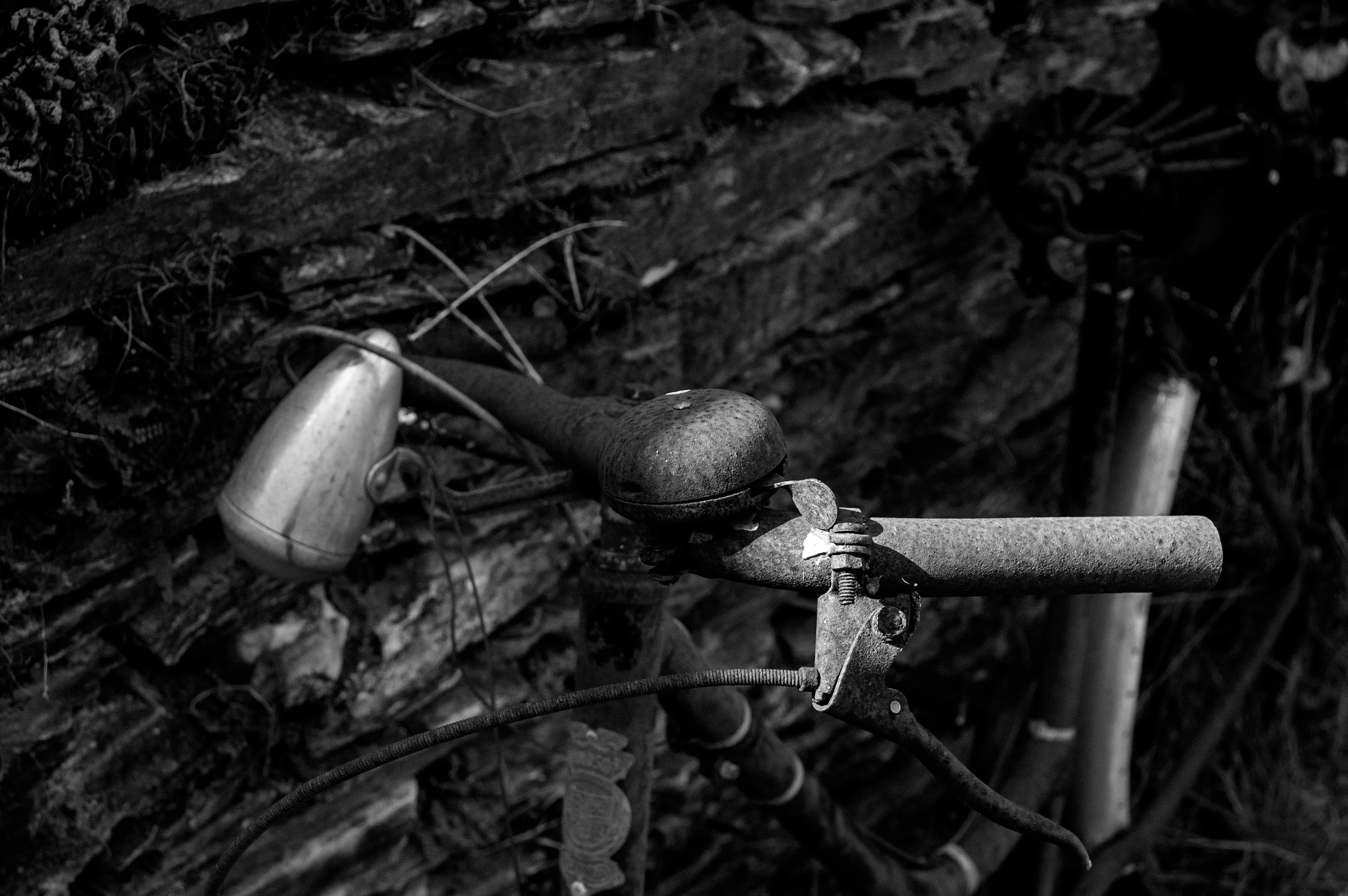 Vie rurale et paysages authentiques